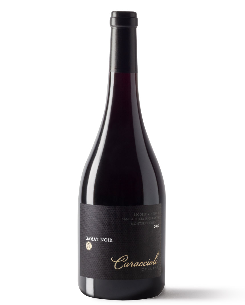 Gamay Noir